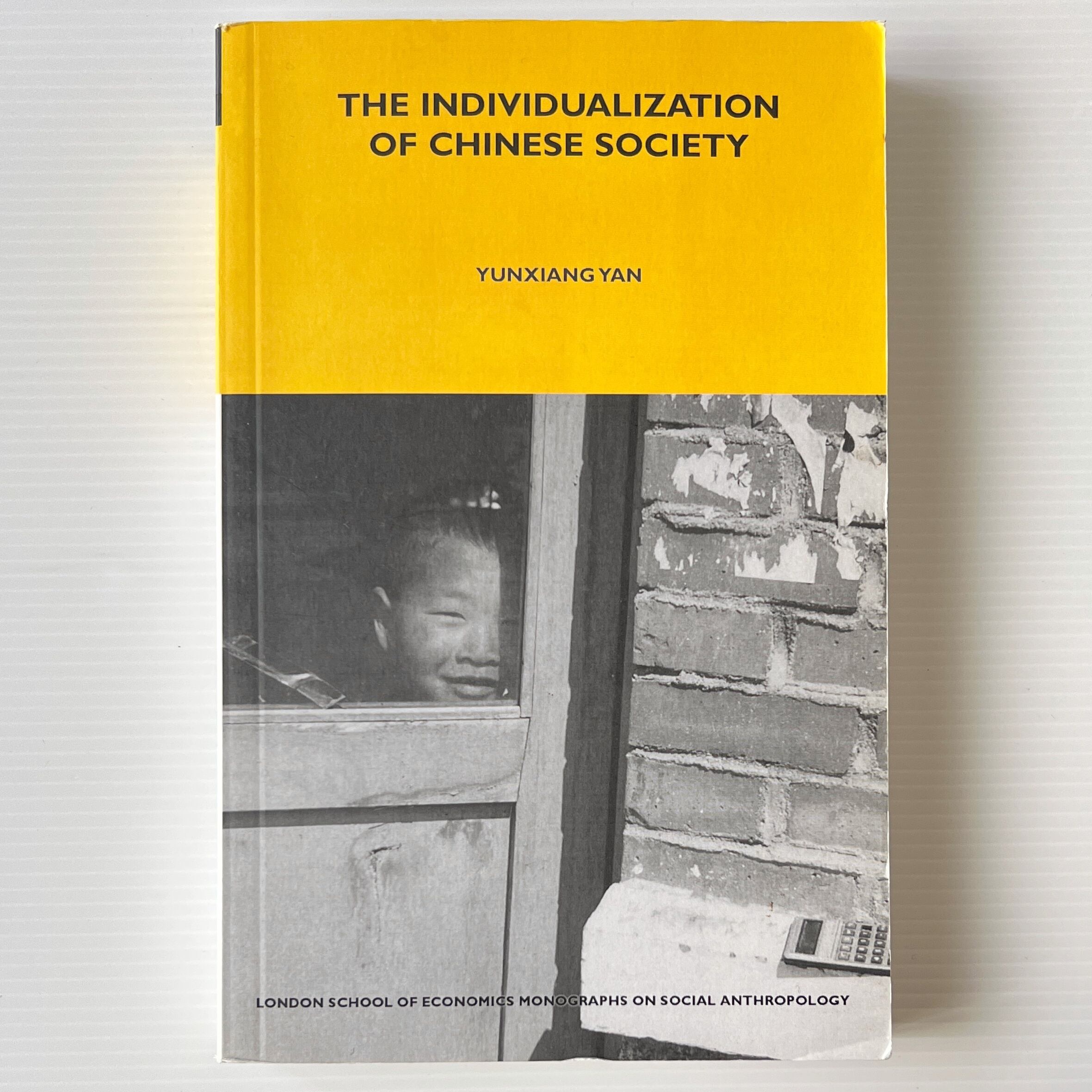 The Individualization of Chinese Society / Yunxiang Yan / Berg