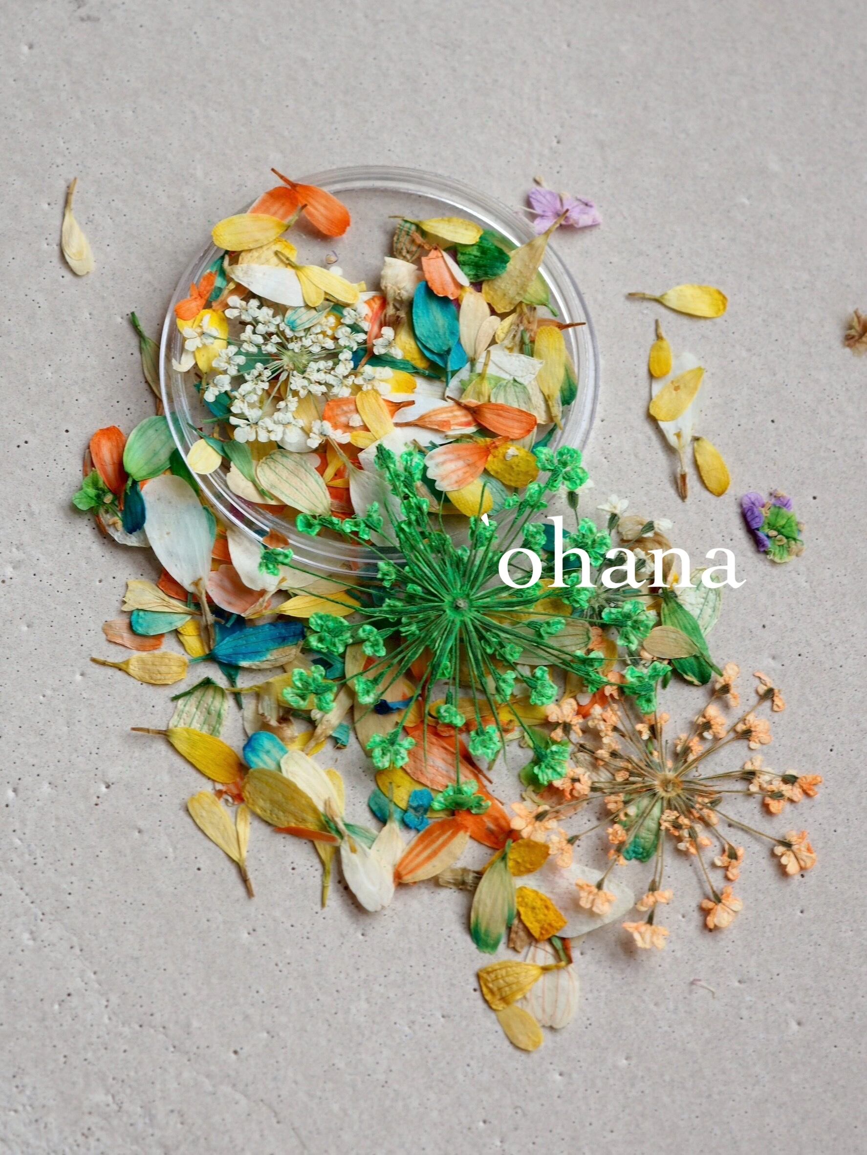 C105 坂下深菜 タペストリー everlasting flowers