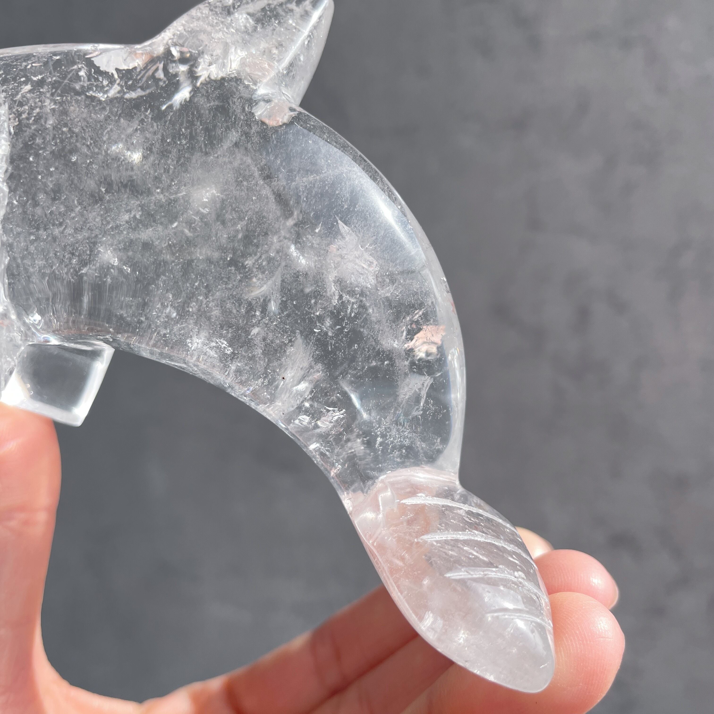 虹しっかり◎ ミナスジェライス産クリアクォーツ イルカ17