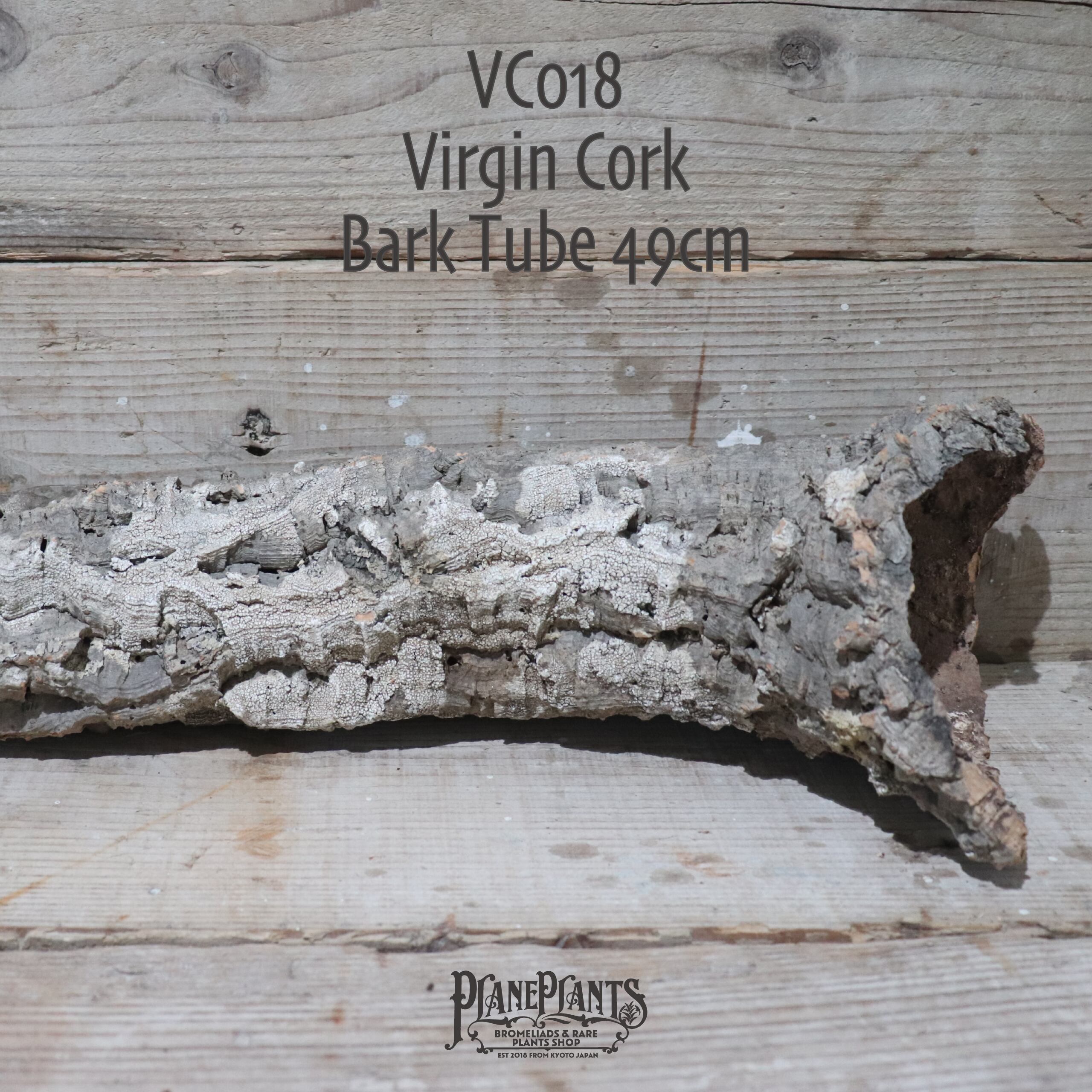 送料無料】ヴァージン コルク 筒型49cm VC018 | plane plants