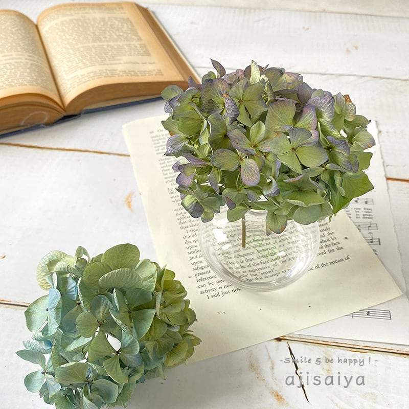 秋色あじさいピック 2本 2023年秋産 ドライフラワー 撮影背景に レジン  