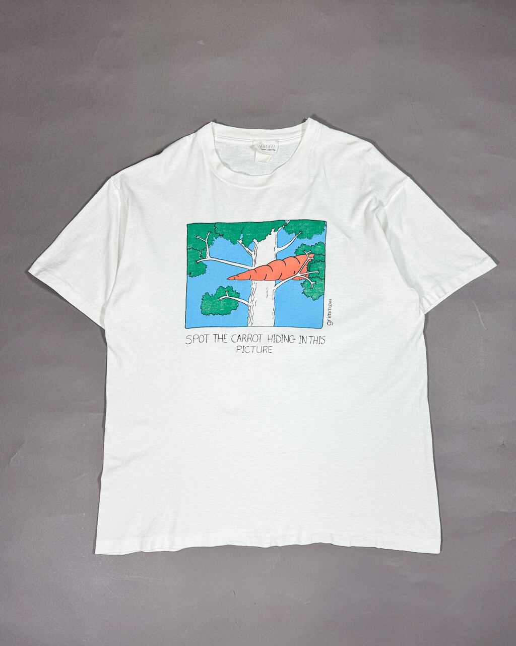80～90s OLD STUSSY/BIG and MEATY Tee/USA製/黒タグ/S/dinosaur/恐竜