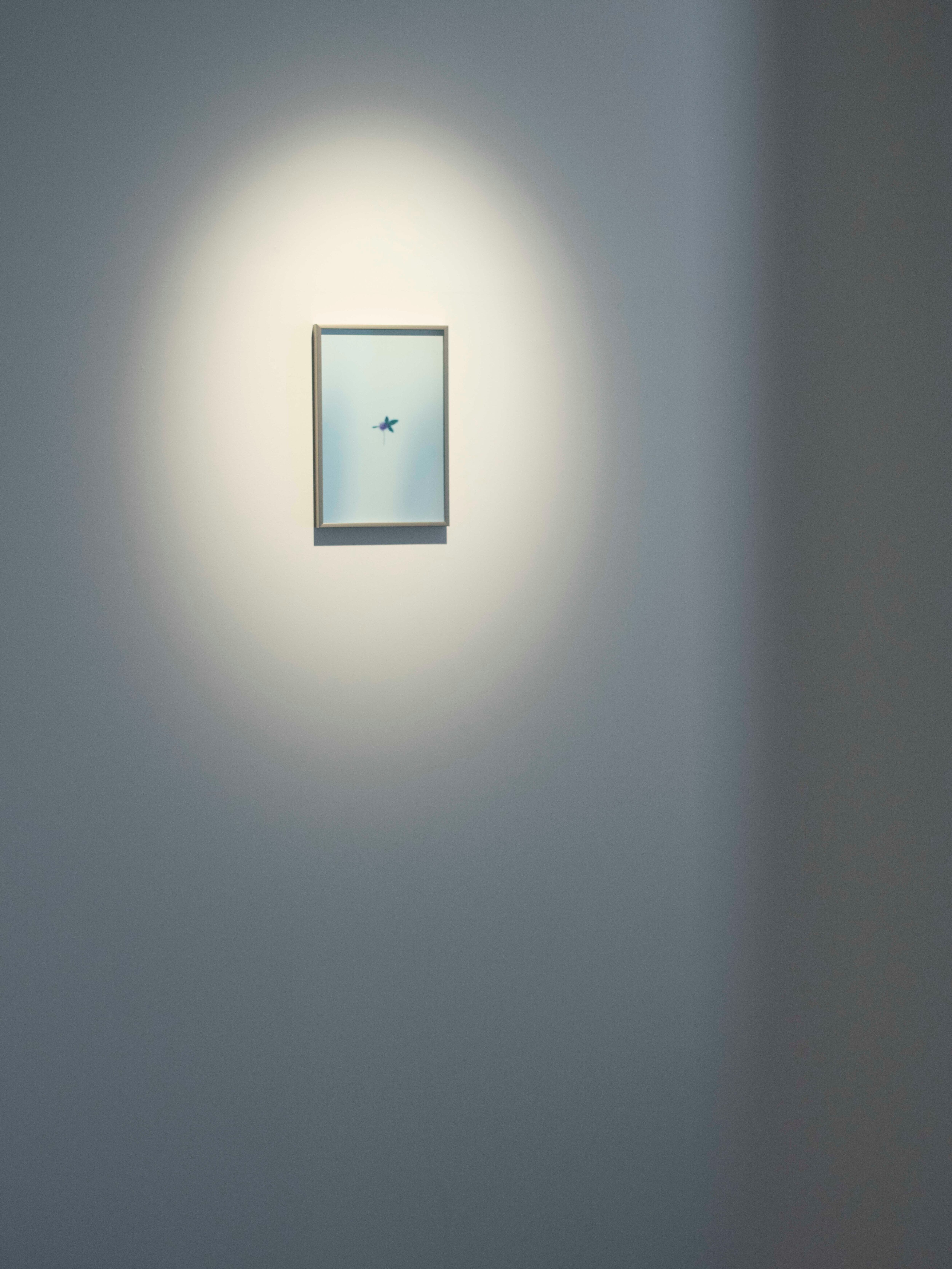 FLOWER #305 | plankton_studio