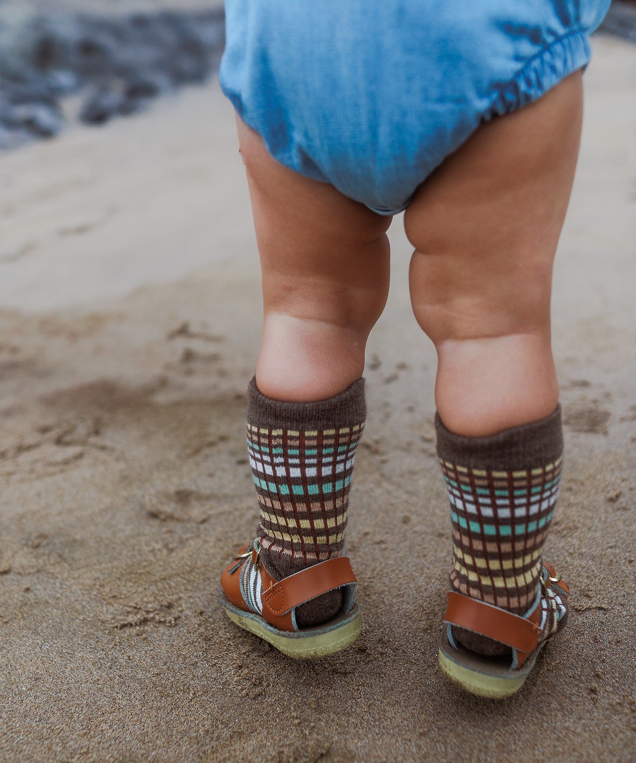 MABLI　CARAVAN SHORTSOCKS - TREE HOUSE STRIPE【予約販売】