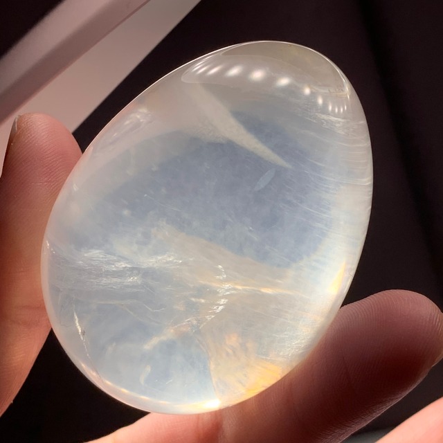 7.ジラソルたまご(大)