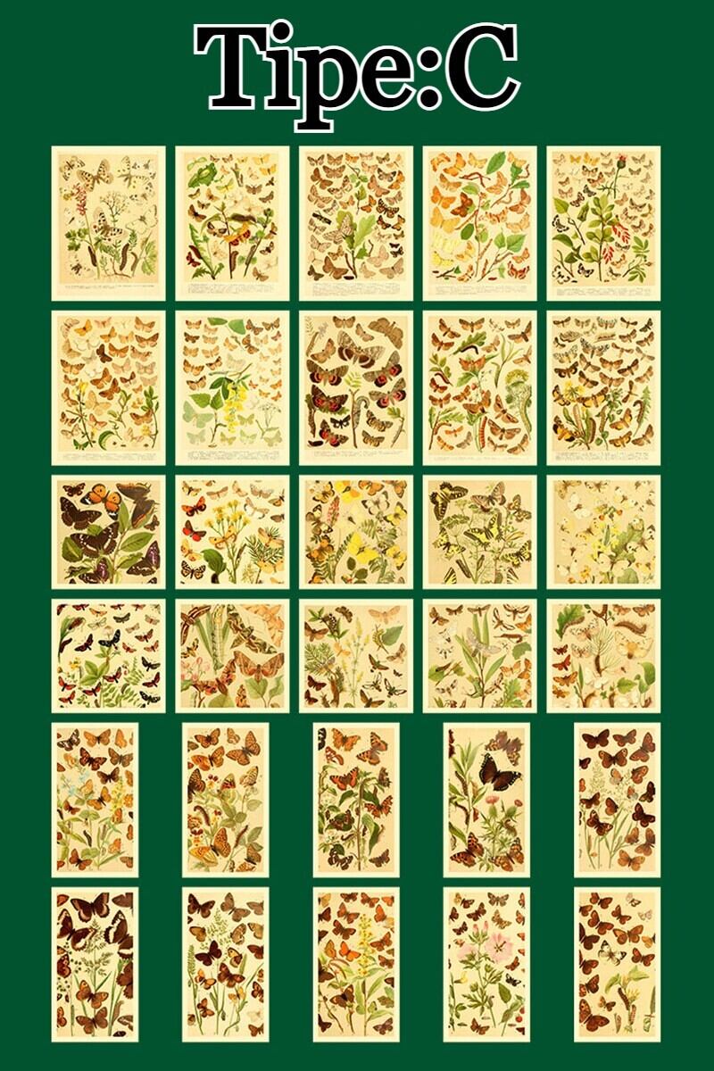 海外輸入 コラージュ素材60枚セット☺️初心者さんにオススメ✨手帳