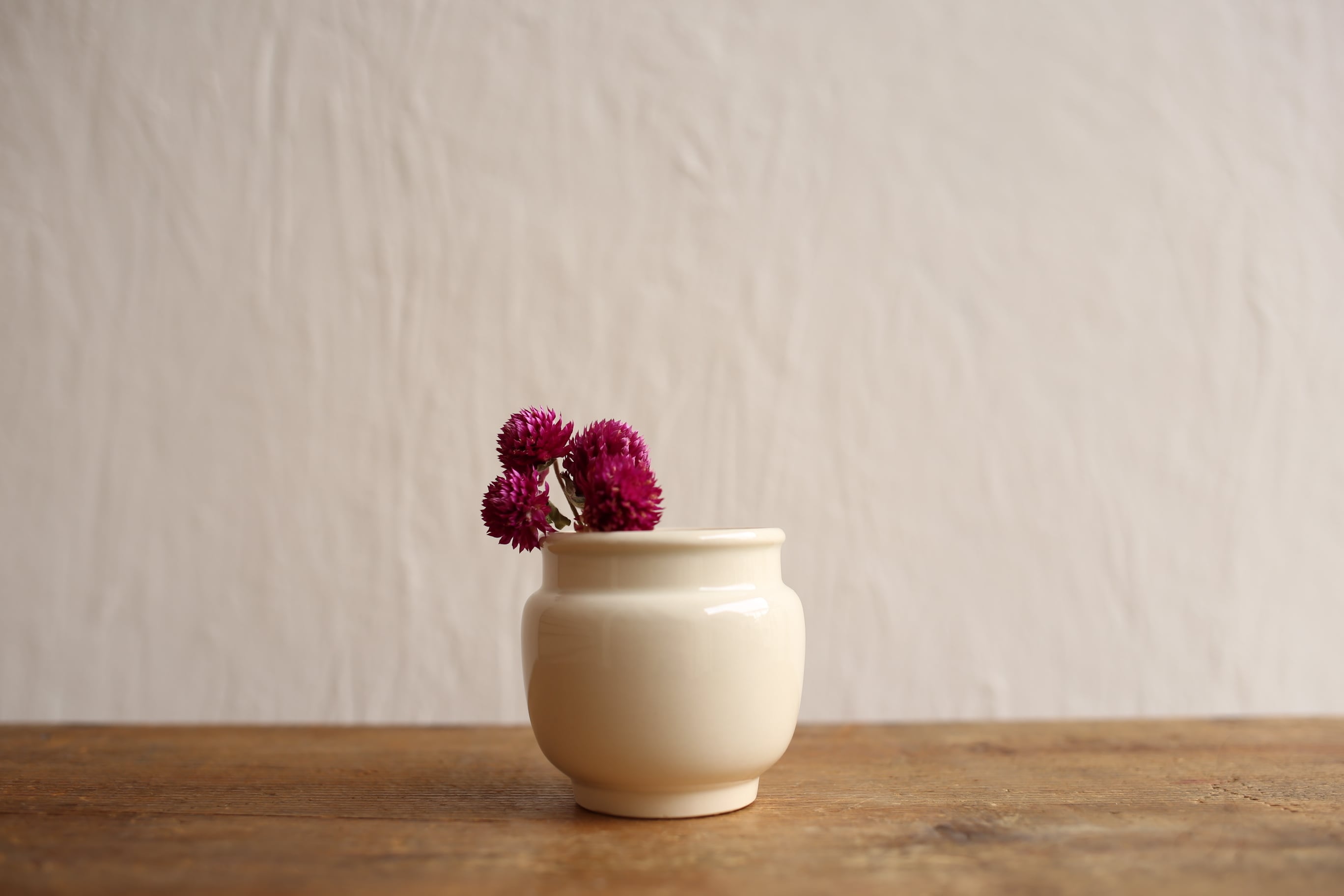 フランスアンティーク　サルグミンヌ　ポット フランス アンティーク ヴィンテージ Sarreguemines サルグミンヌ