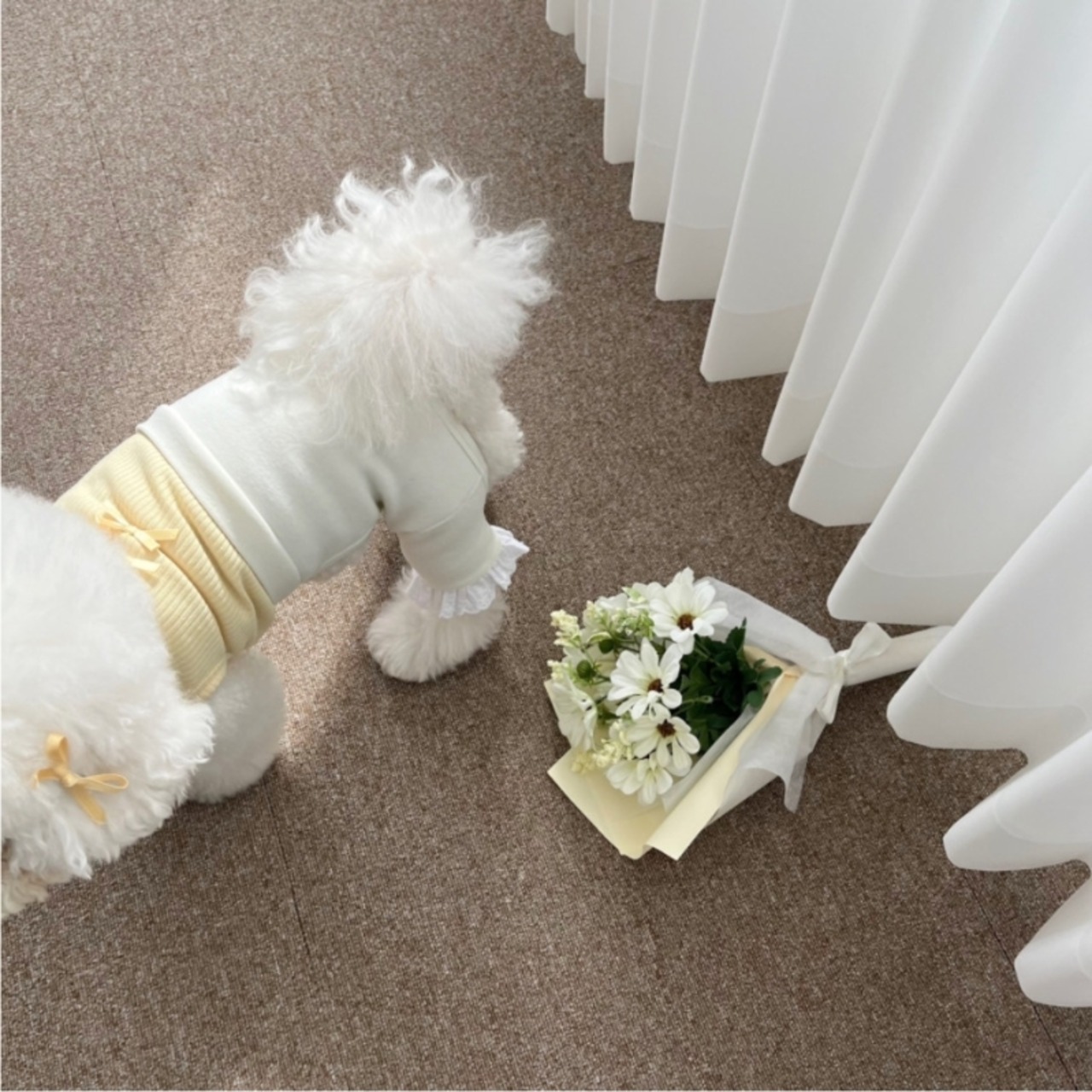 予約【pecoramou select】ribbon hair pin