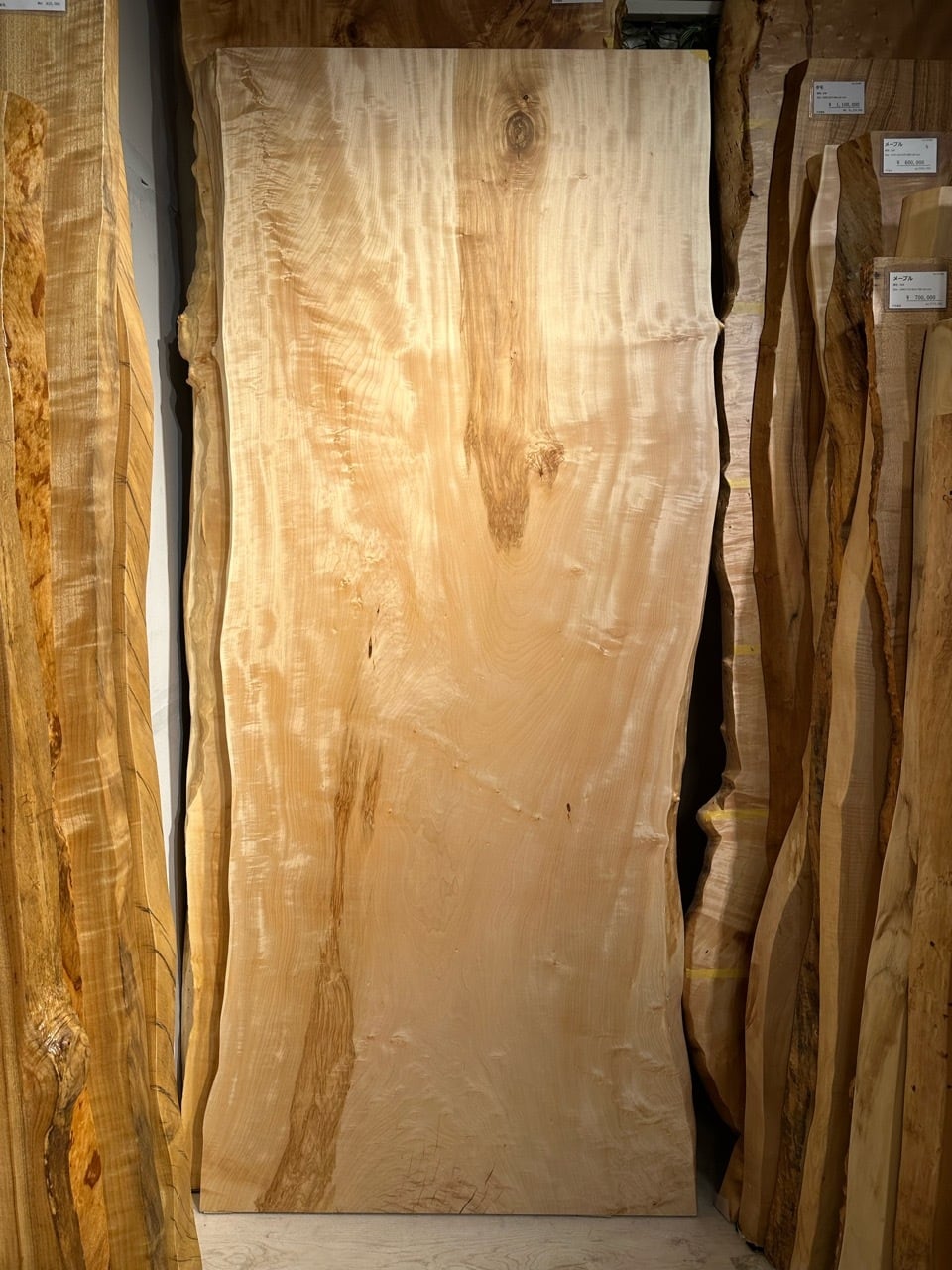 明日まで❗大特価　栃　一枚板　ダイニング　テーブル　最高級　トチ　リビング 栃（トチ） 一枚板 ダイニングテーブル／1570mm 【A8384】 【一枚板