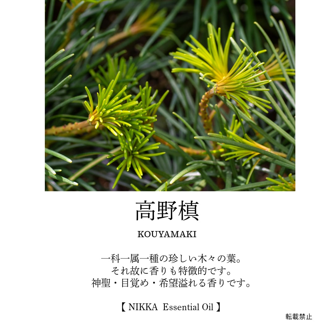 杉葉 100ml | NIKKA