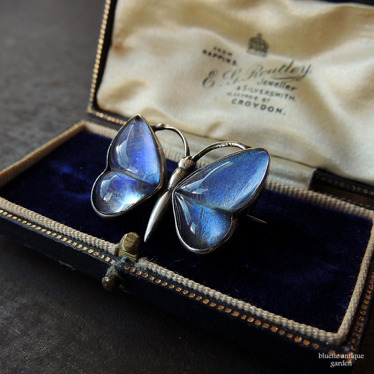 アンティークジュエリー スターリングシルバー モルフォ蝶 ブローチ(バタフライタイプ)