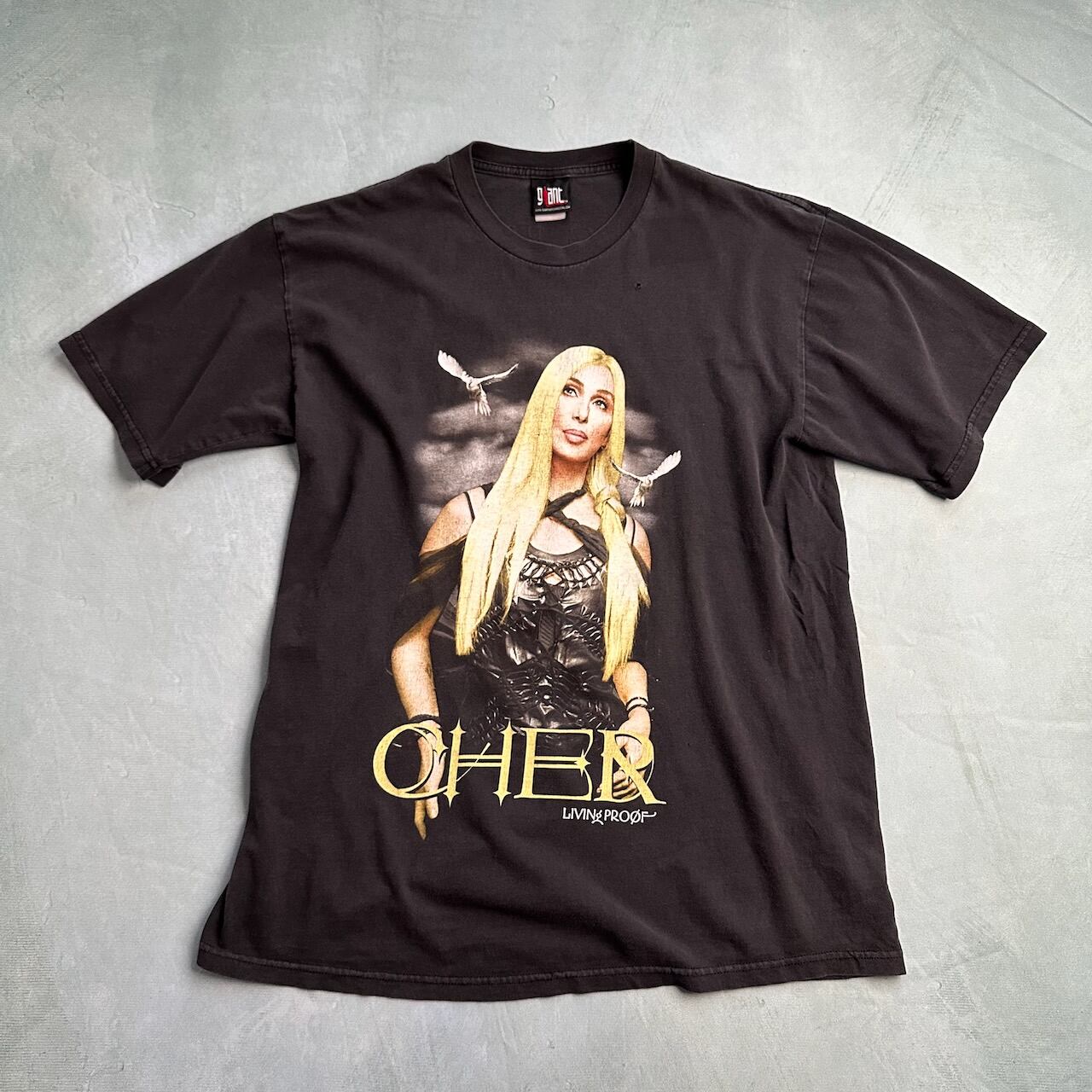 Cher バンドT 洋楽 ラスベガス Tシャツ 0c937d9b03859927173e2e41dbca4b