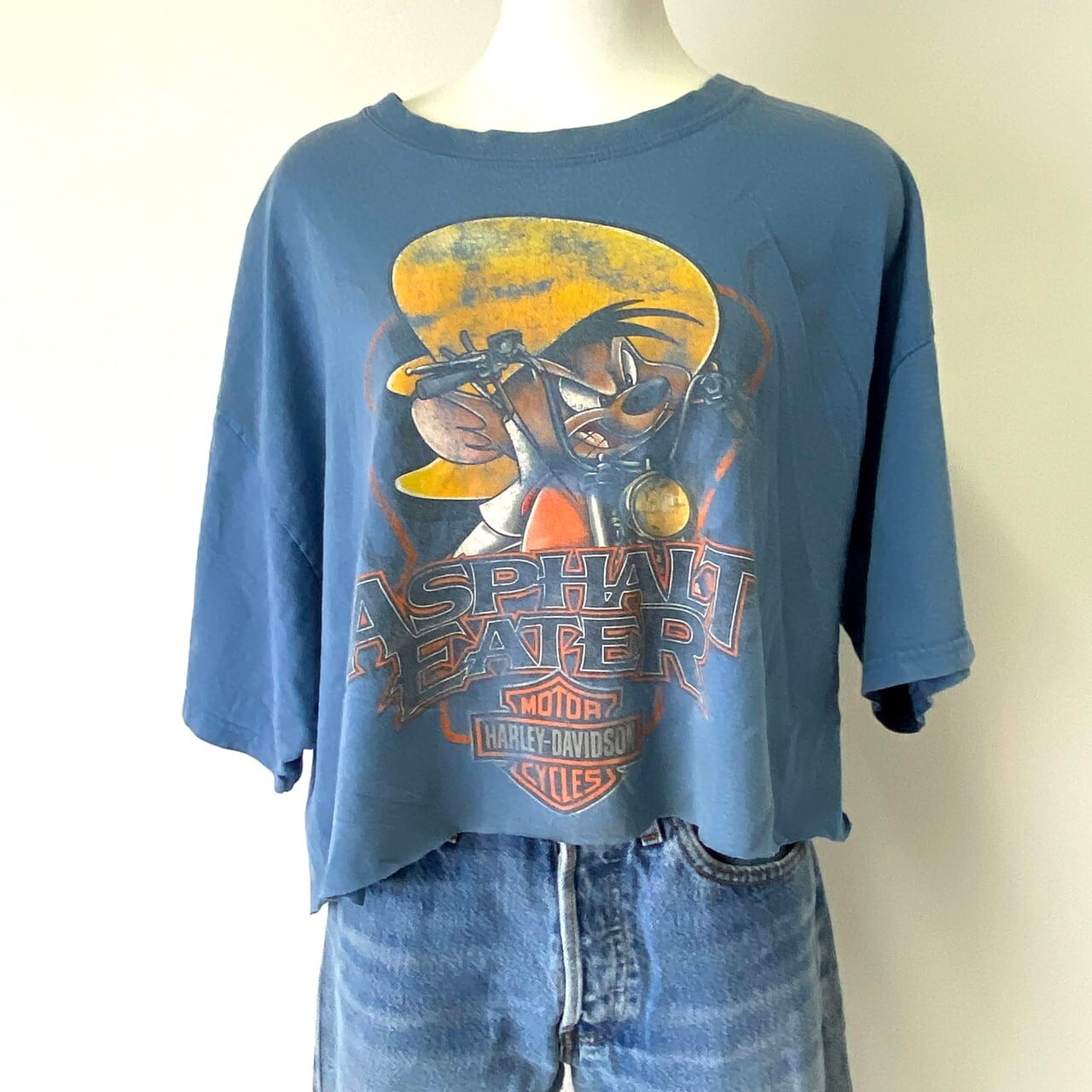 正規品質保証 90s《US古着》ヴィンテージ M Tシャツ ルーニー メンズ