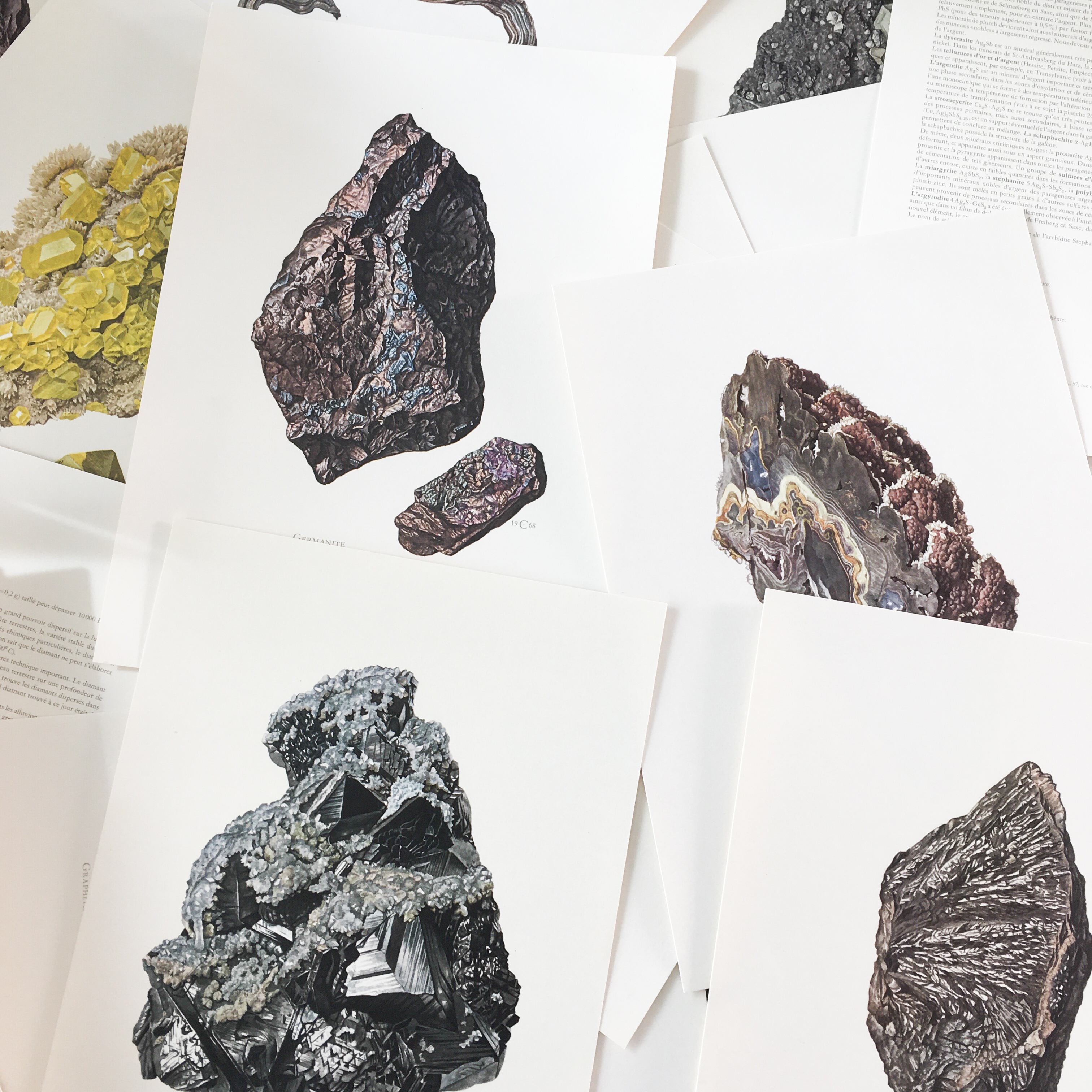鉱物図鑑 鉱石図鑑 珍しいカードタイプの図鑑 162枚収録 | 小さな 