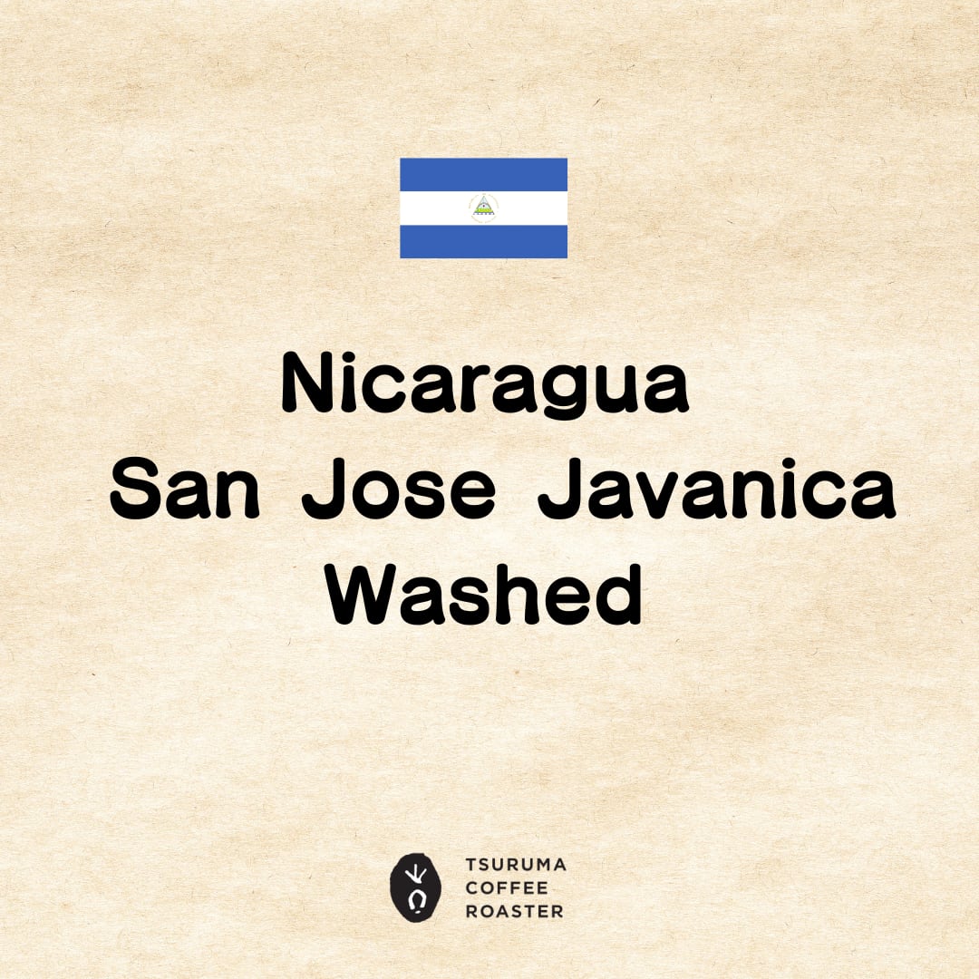 Nicaragua San Jose Javanica Washed 100g(ニカラグア サンホセ農園 ジャバニカ ウォッシュド)