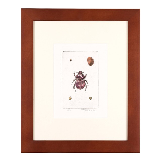 オオセンチコガネ