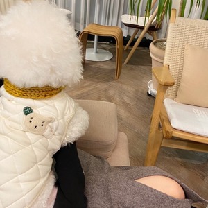 【PET】2色展開韓国風ひし形クマ刺しゅう入り2脚中綿ベスト