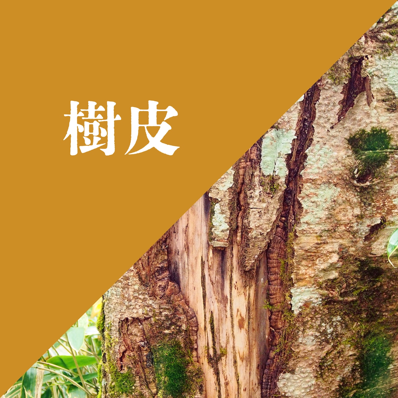 自然の風景から生まれた、MAKAMIの7色。