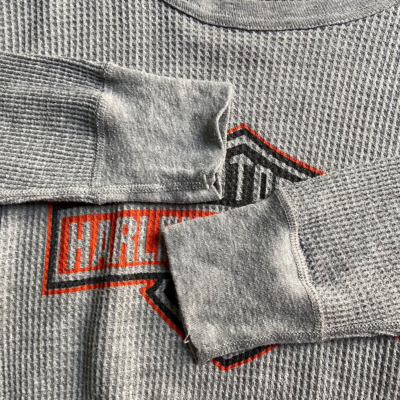 USA製 Harley-Davidson ハーレーダビッドソン イーグル 両面プリント 