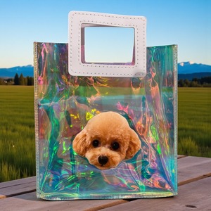 オーロラバッグL