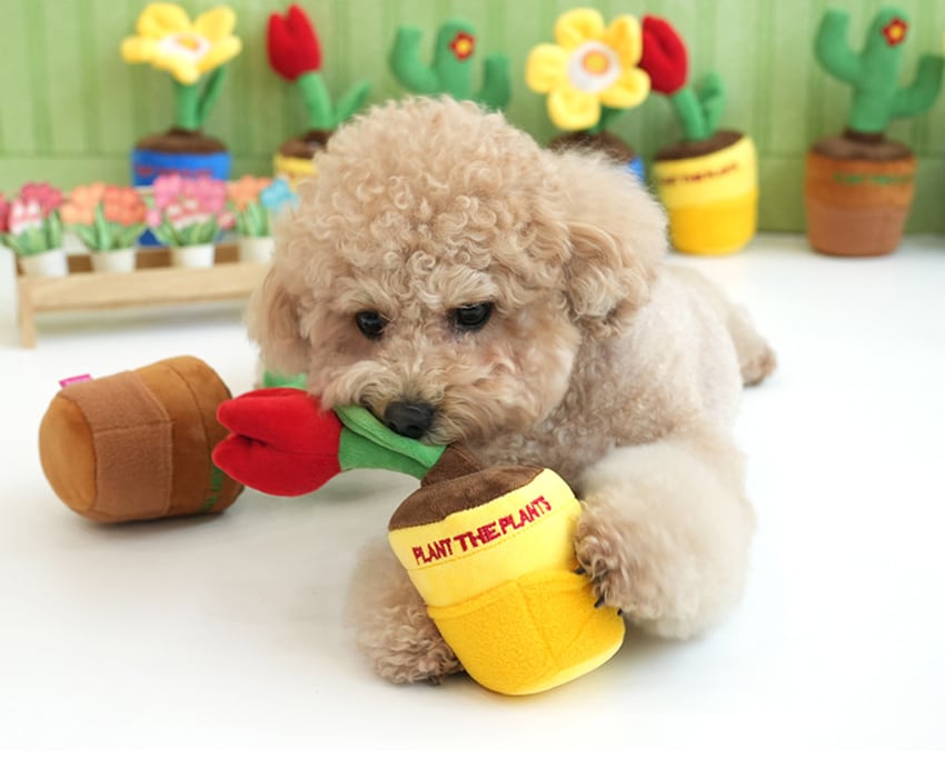 gardening snack toy  / ノーズワーク ペット 犬 おもちゃ 音が鳴る 知育玩具 ノーズワーク おやつ隠し 可愛い わんちゃん ストレス解消 インスタ映え