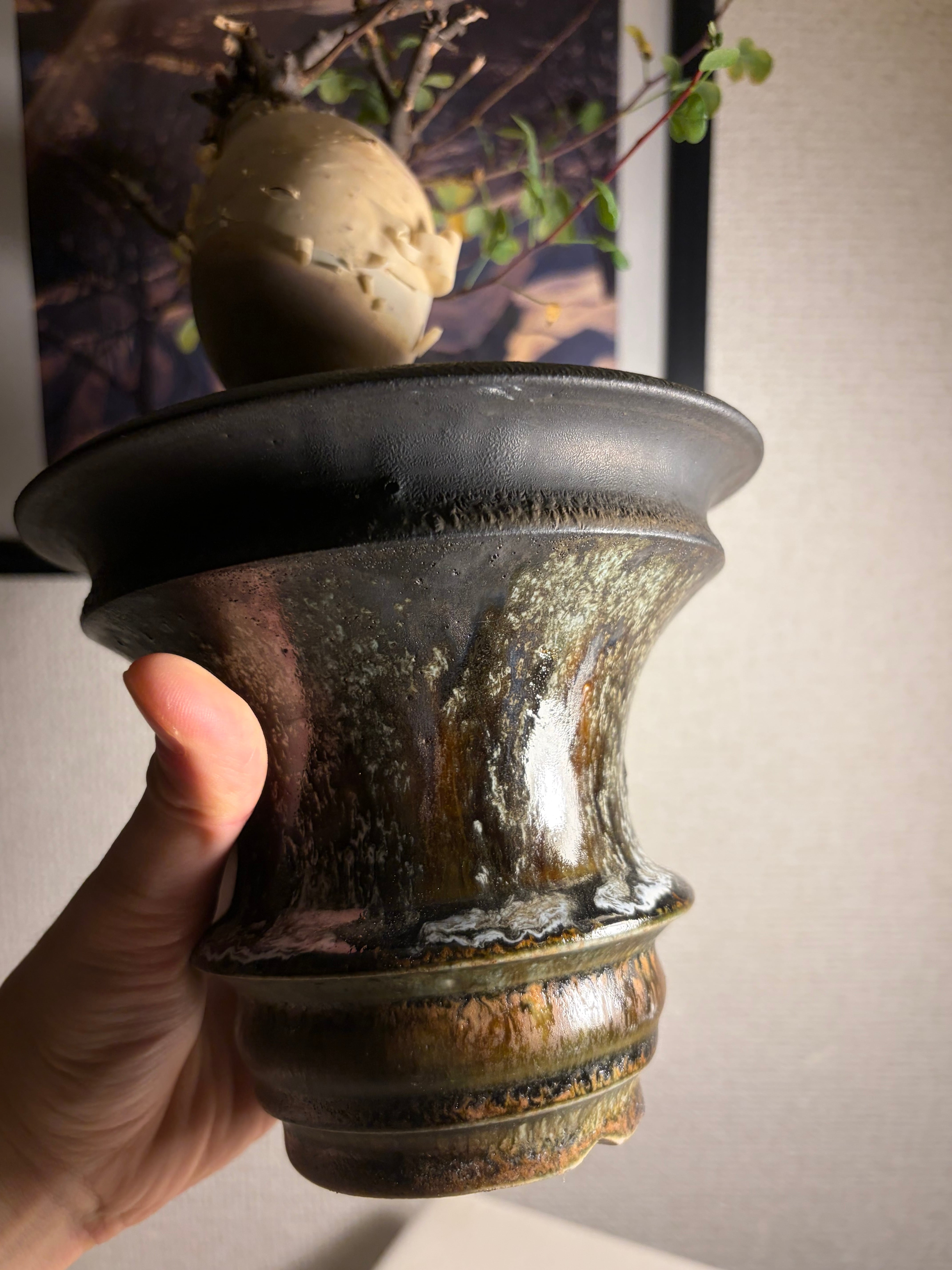 丸いコミフォラ カタフ ピュアソマリア カタチ製作所の鉢付 アデニア