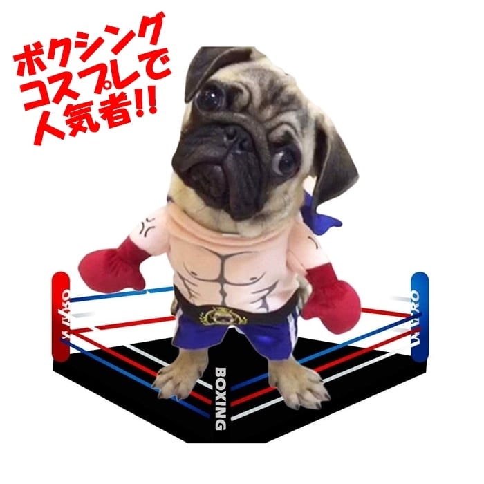 送料無料 Km566g犬 猫 ハロウィン 服 コスプレ ボクシング コスチューム おもしろグッズ 秋 冬 変装 フレンチブルドッグ ペット服 犬 服 コスプレ 可愛い 猫服 犬用 小型犬 中型犬 変身服 出掛け 撮影道具 Dearkm フレンチブルドック孔明