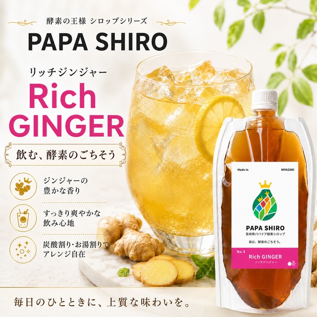 ＼PAPA SHIRO No.3／青パパイヤ酵素の王様シロップ -リッチジンジャー- 150g