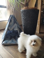 ペットティピー★Premium pet tee pee【Native blue】特典付★45cm×45cm同柄クッションカバー