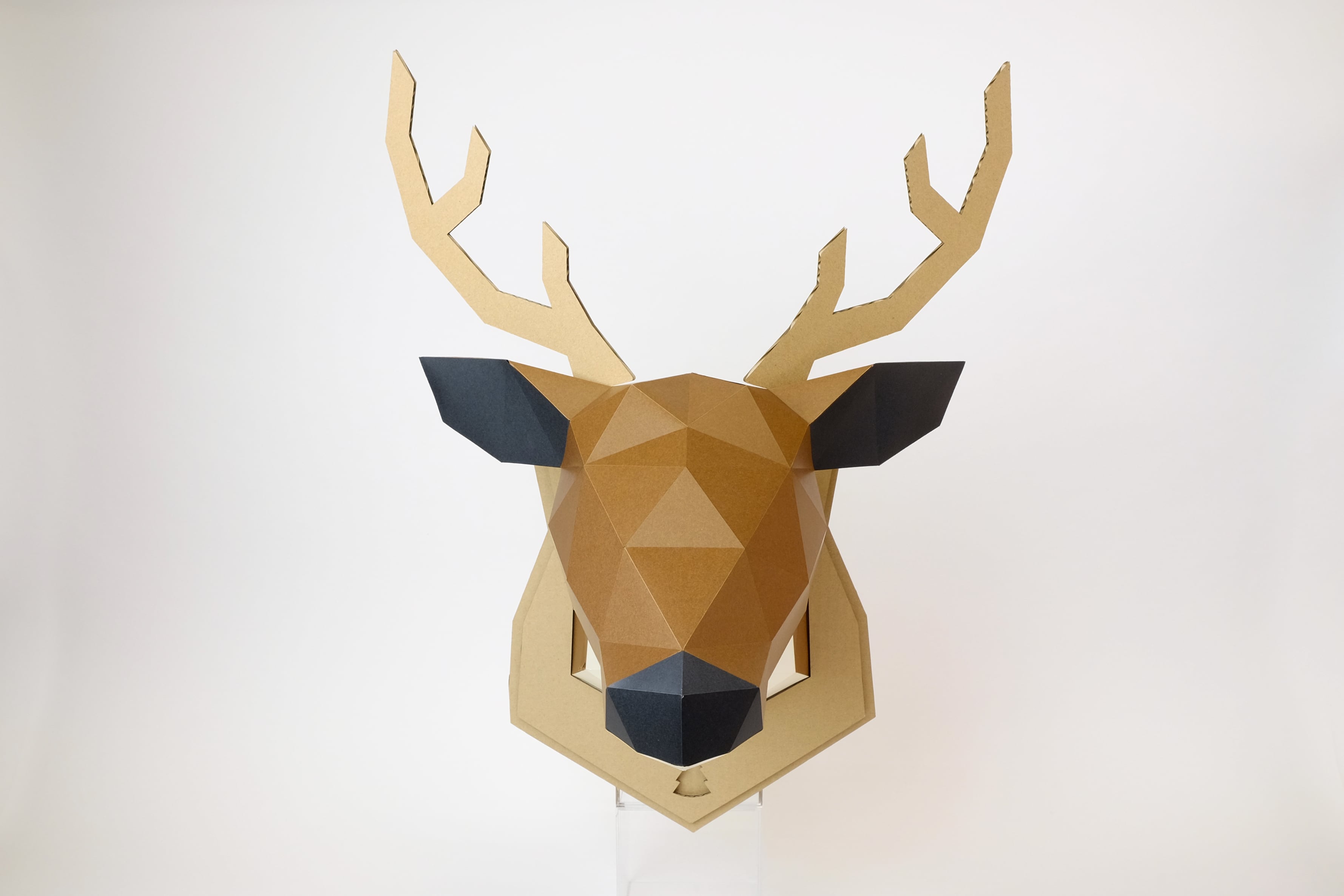 kakukakuページ KAKUKAKU WALL / 2L / SHIKA | bog craft official store