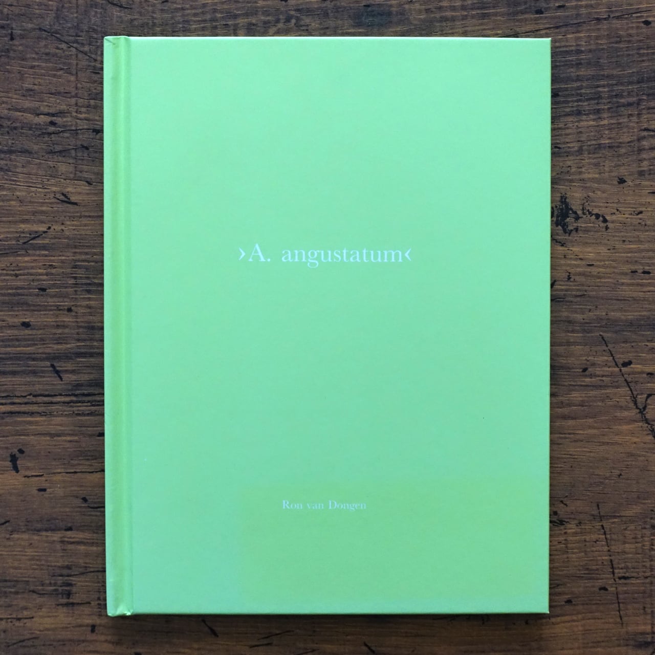 【 Ron Van Dongen: A. angustatum】★値下げしました Ron van Dongen : A. angustaum (One Picture Book #37) | タイムカプセル