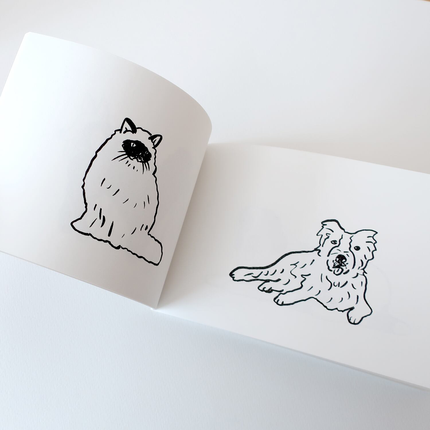 DOG DOG CAT | しんご
