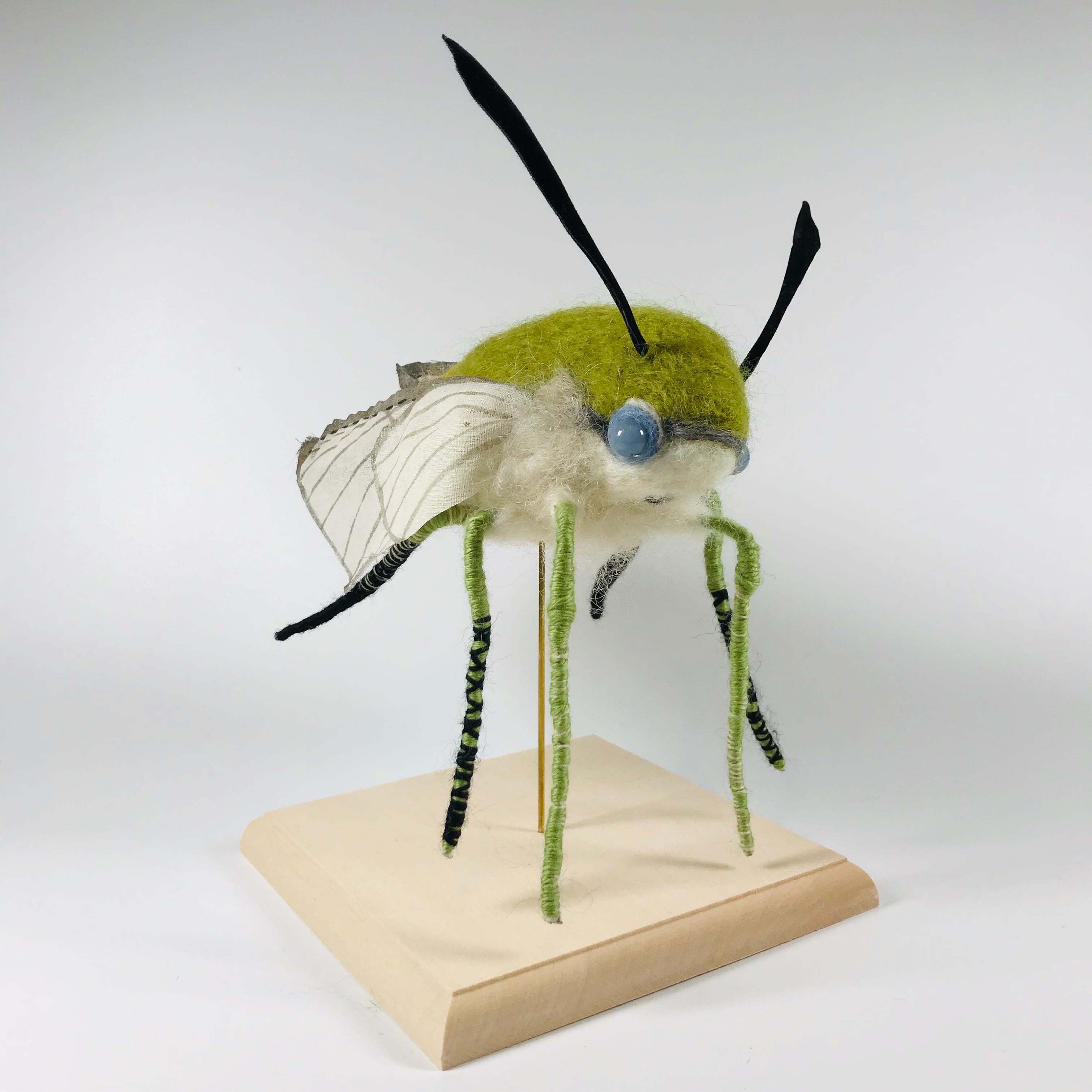 kemonoya 】オオスカシバ | HOW HOUSE