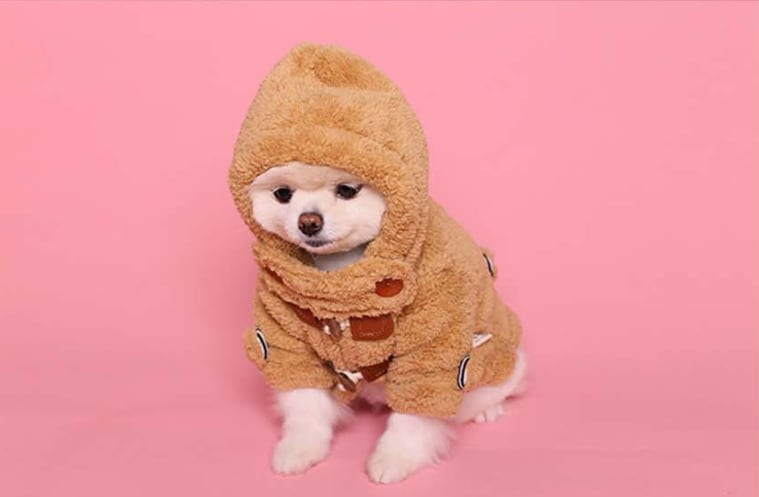pongpong coat XS ~ XL 3color  /  犬服 秋冬 新作 アウター 暖かい コート ドッグウェア シンプル フリース 犬 服 お出かけ 小型犬 中型犬 ワンコ服 ボア　b8