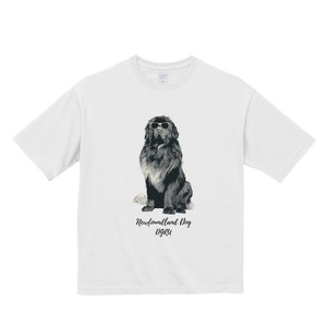 ニューファンドランド　ビックシルエットTシャツ