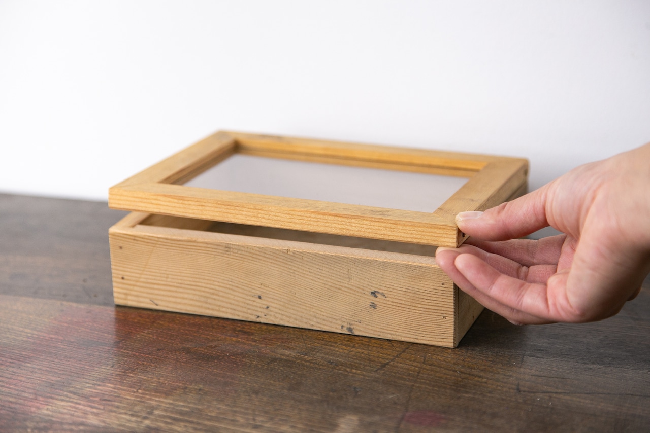 コレクションケース SS | 009