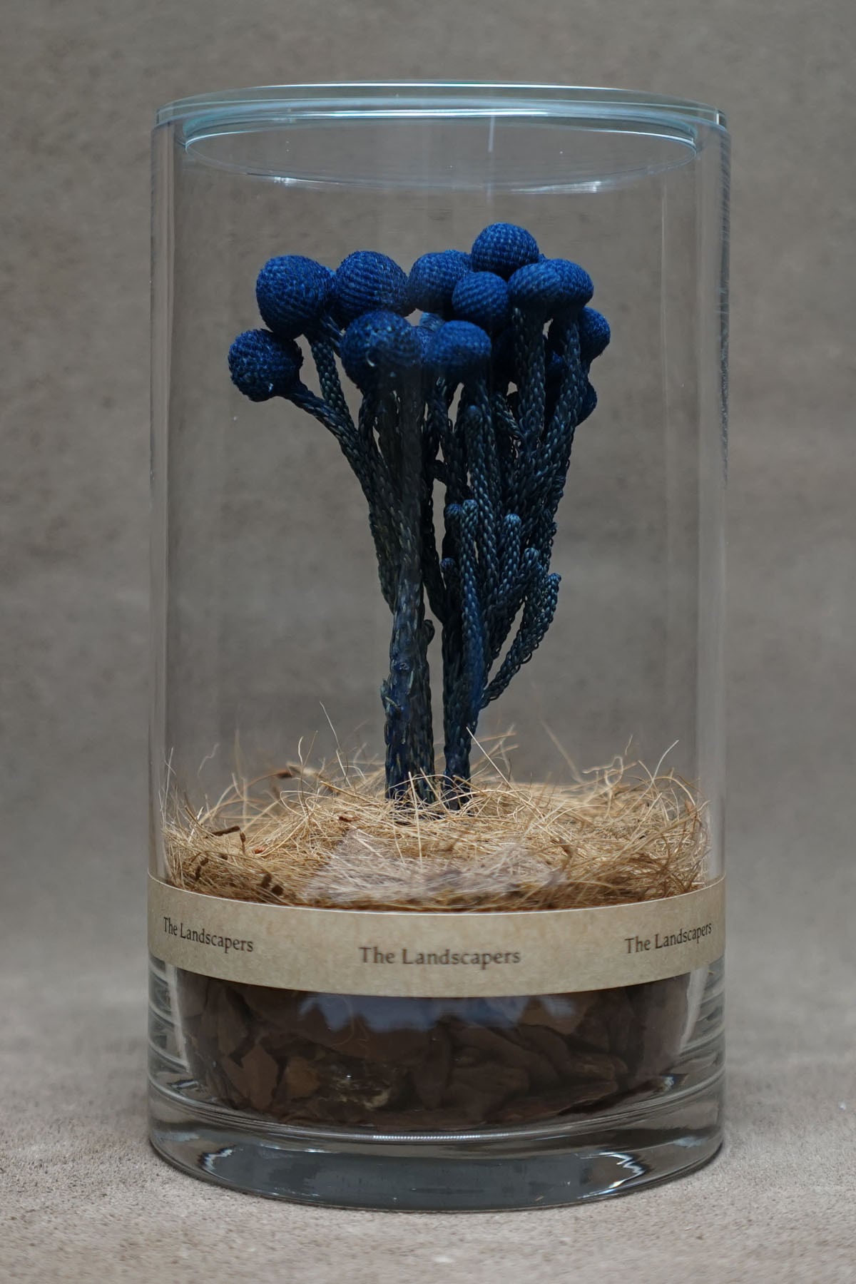 DRY CYLINDER "INDIGO DYE"『Brunia』