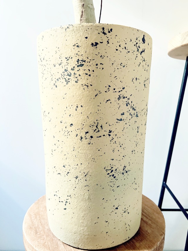 【Art Plants】彫刻のような樹形美 フィカス ベンガレンシス 一点もの  観葉植物 calm cafe