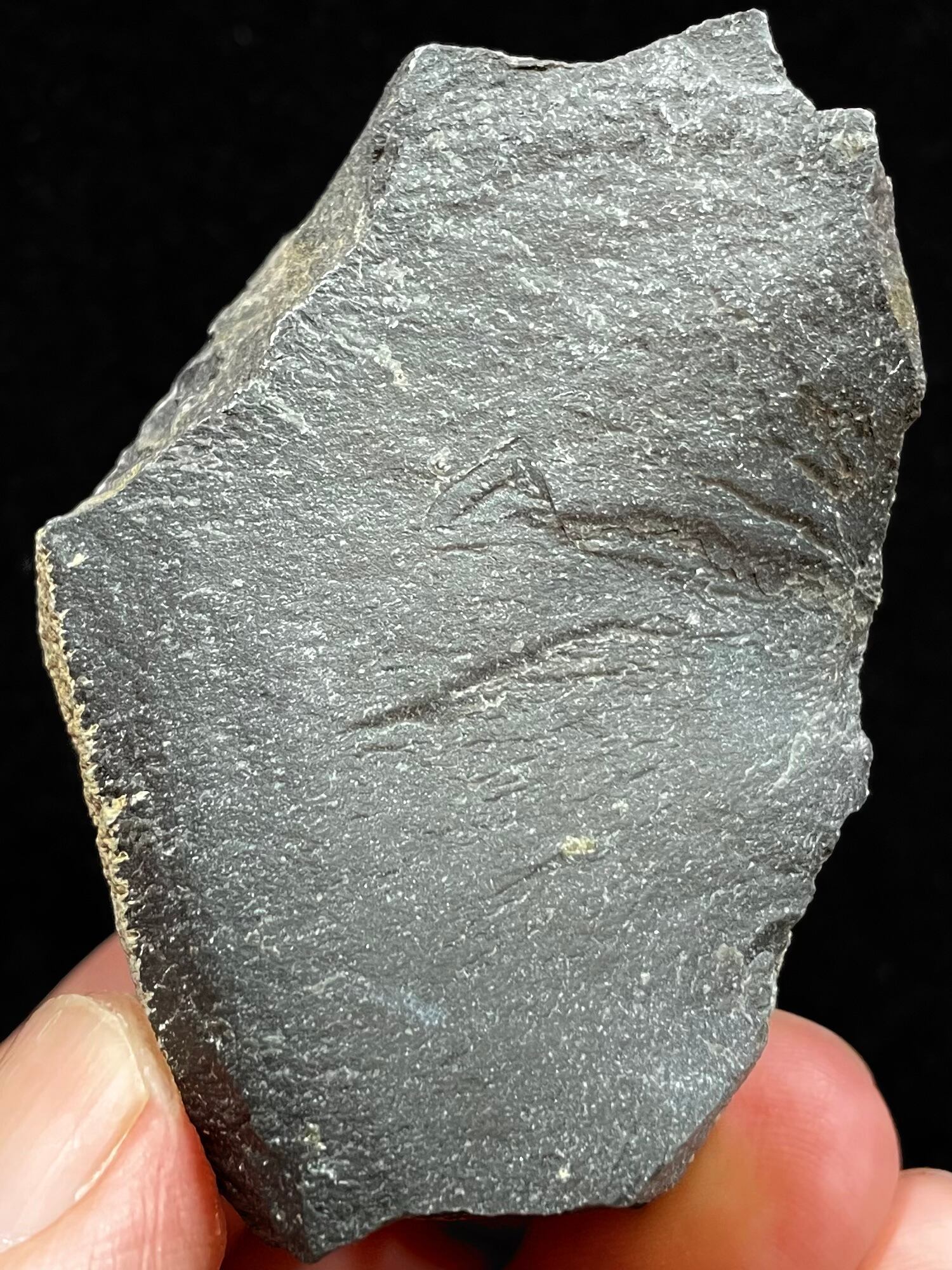 5) サヌカイト(原石・小)