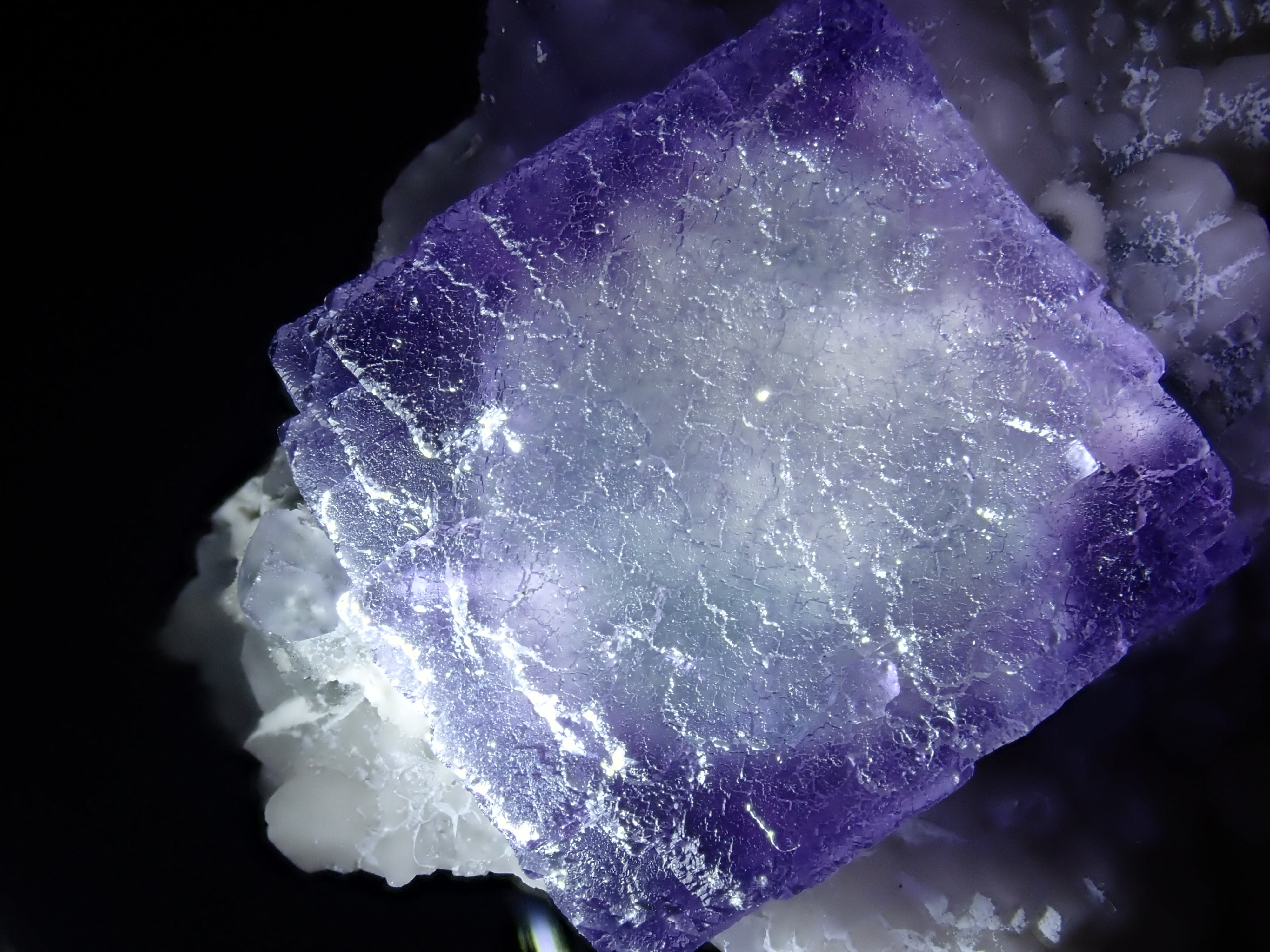 共生美】フローライト＆ミルキークォーツ 蛍石 水晶 原石 標本 | 石処