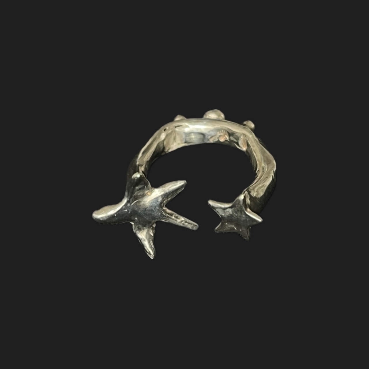 Dustin S5 Rings γOrderγStar Ring | Dusteon