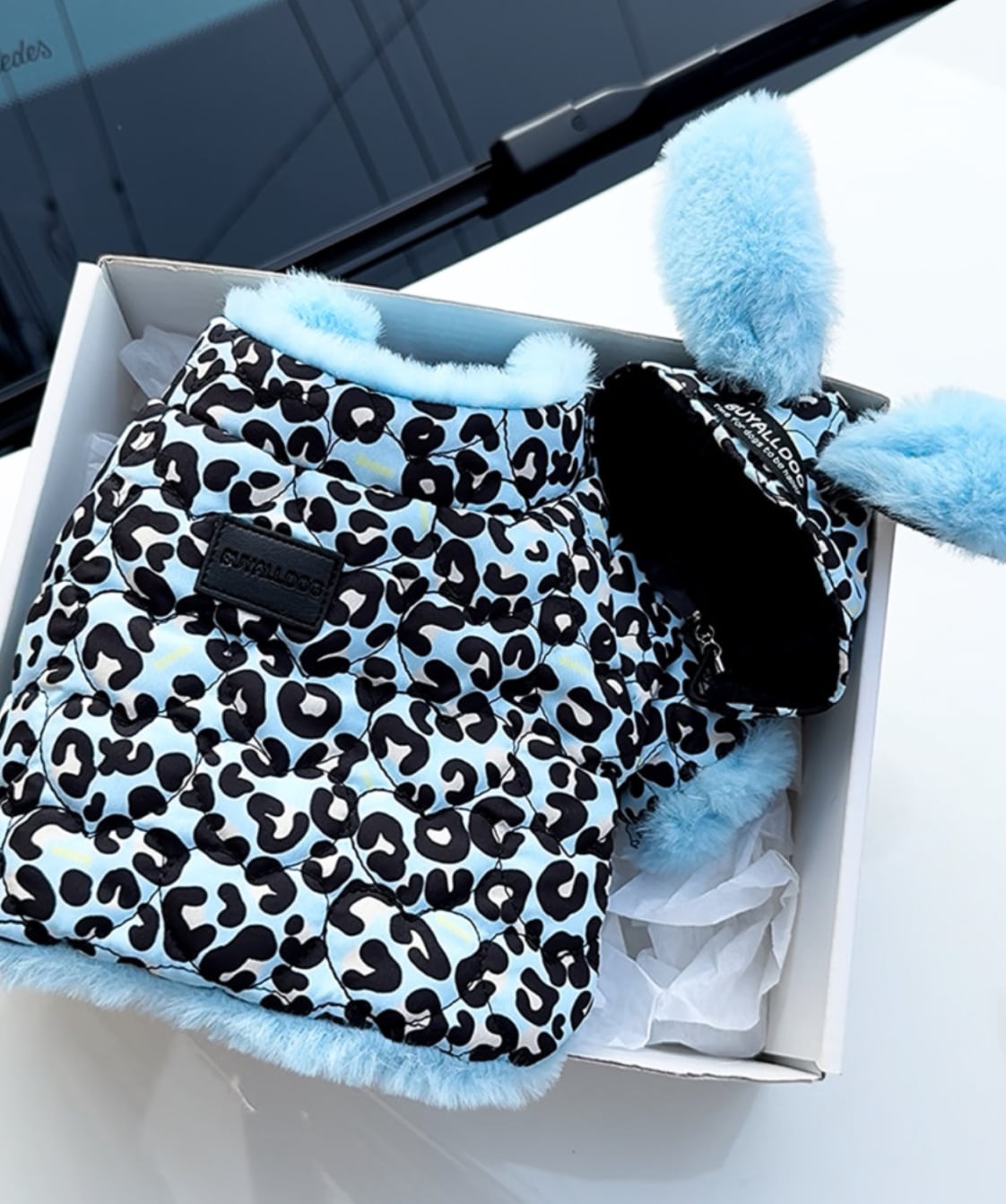 予約【buyalldog】Reversible Leopard Padding (Blue)