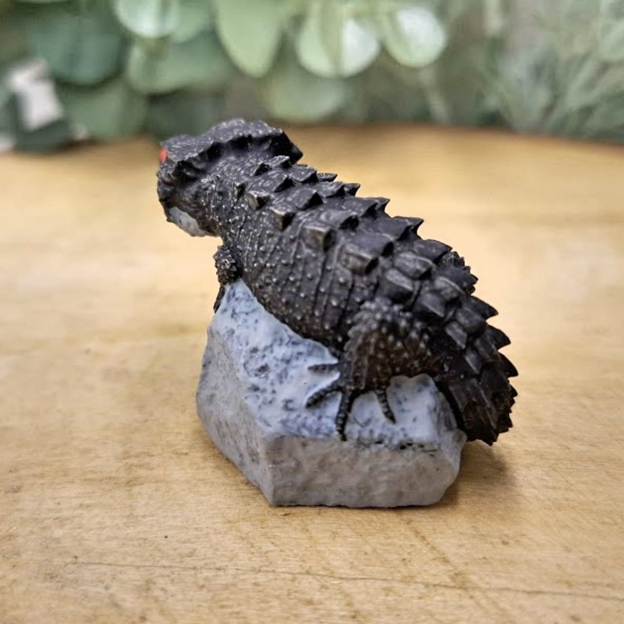 アカメカブトトカゲ | 真工房 masakoubou