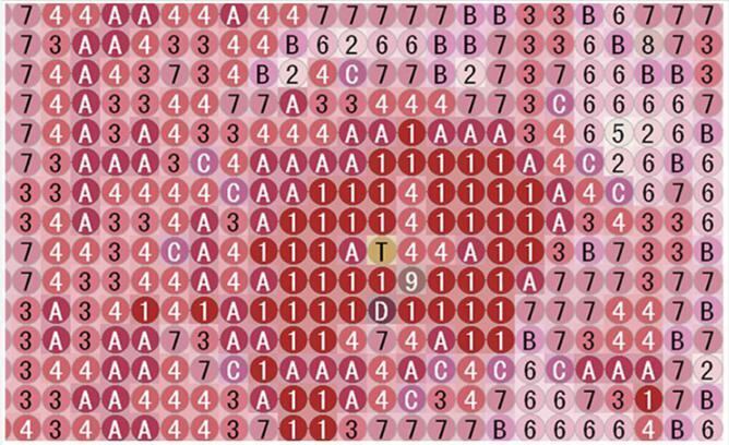 A3サイズ ○丸ビーズ○ オーダーメイド受付専用ページ