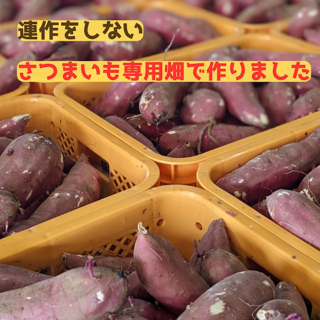 【紅はるか】干しいも B級品MIX 10kg 干し芋