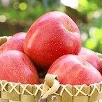 朝日町特産 りんご 秋陽 18玉 5㎏ | だいちゃん農園