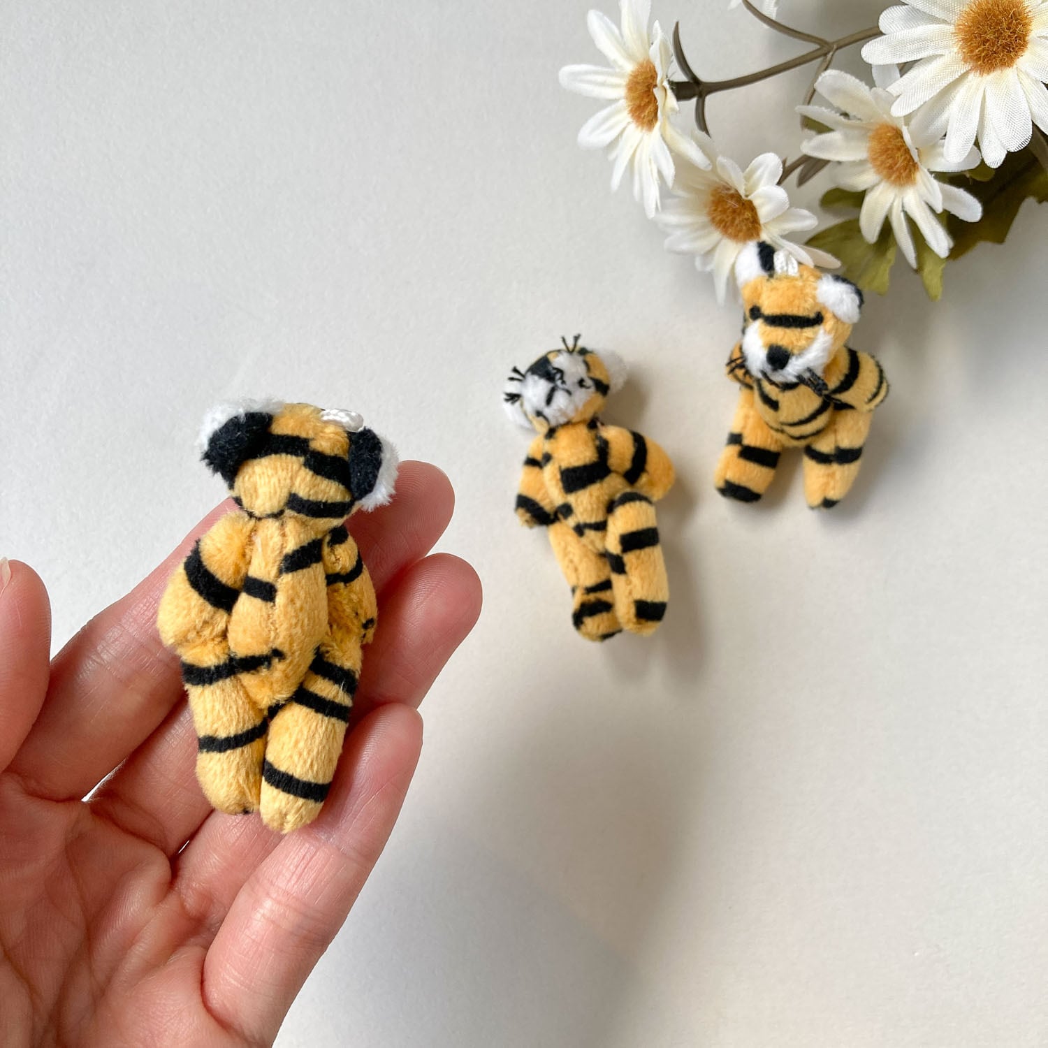 0ccd07729b122fa5f28beb6b2f75c1