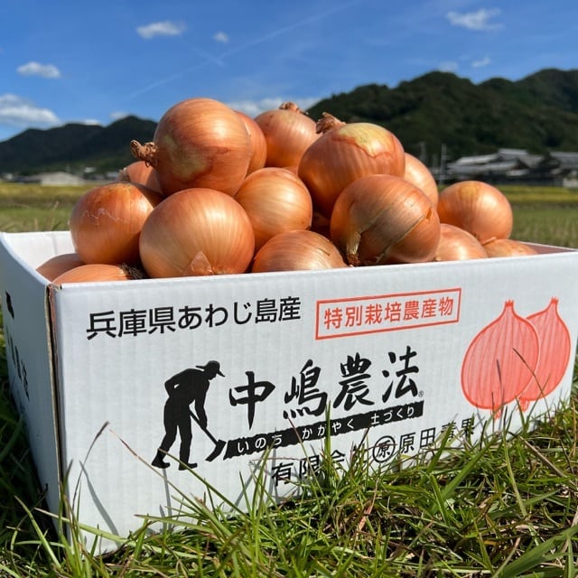 淡路島玉ねぎ 旨一番 10kg 送料・税込み | 原田兄弟の一番玉ねぎ