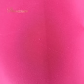 社交ダンス 衣装 スカート ピンク系 ジャンティ gentil 鮮やか 無地 シンプル 練習 レッスン 伸縮 ストレッチ 上品 かわいい ダンス衣装 ステージ イベント パーティー