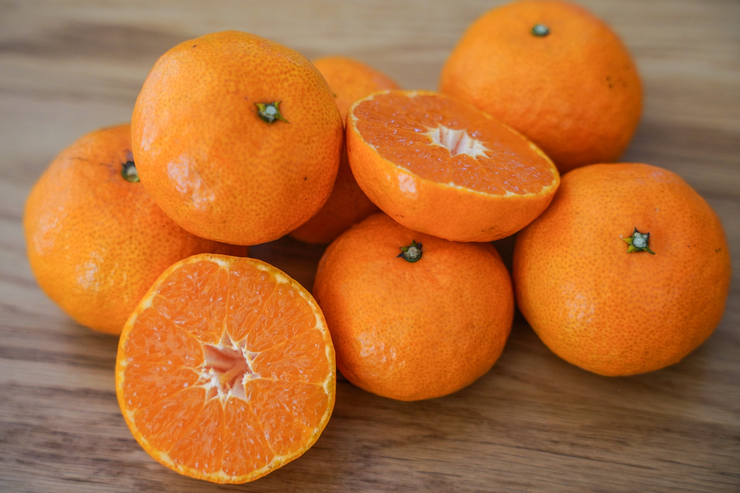 たまみんページ Root ZX mini | MORITA